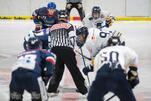 Eisbären forcieren die Wende